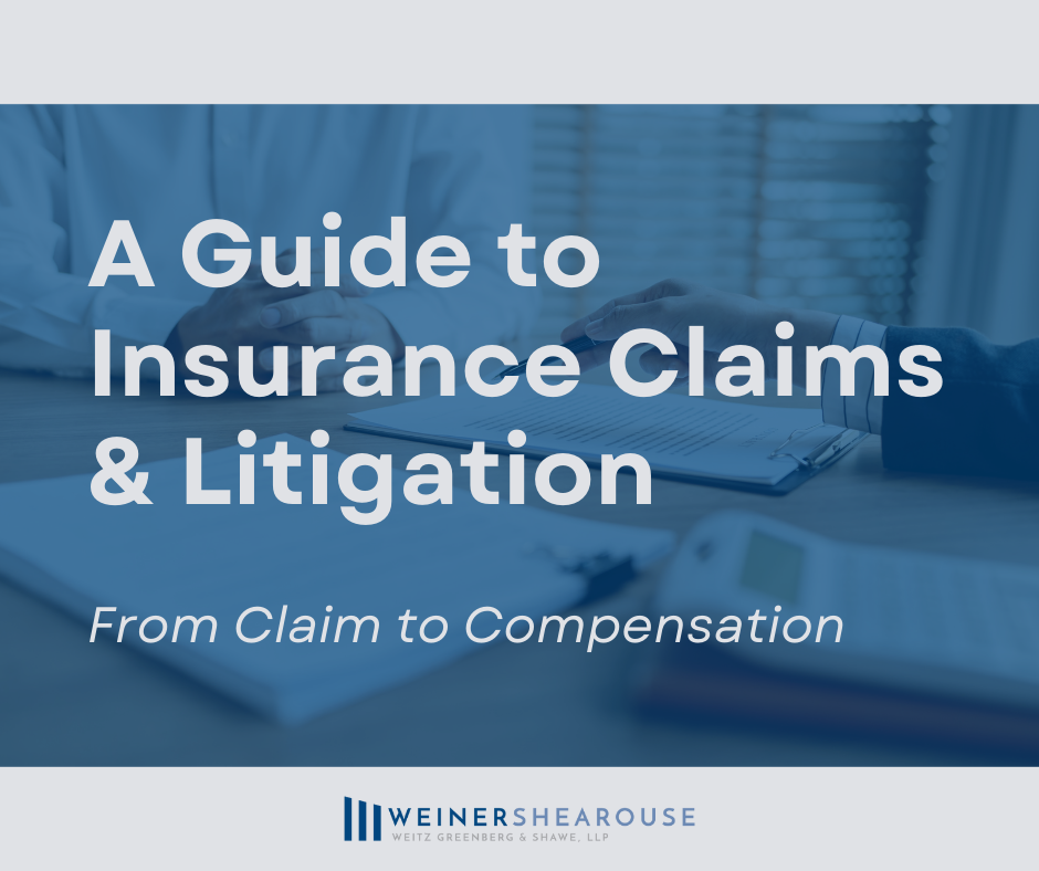 A Guide to Insurance Claims and Litigation - Blog Graphic